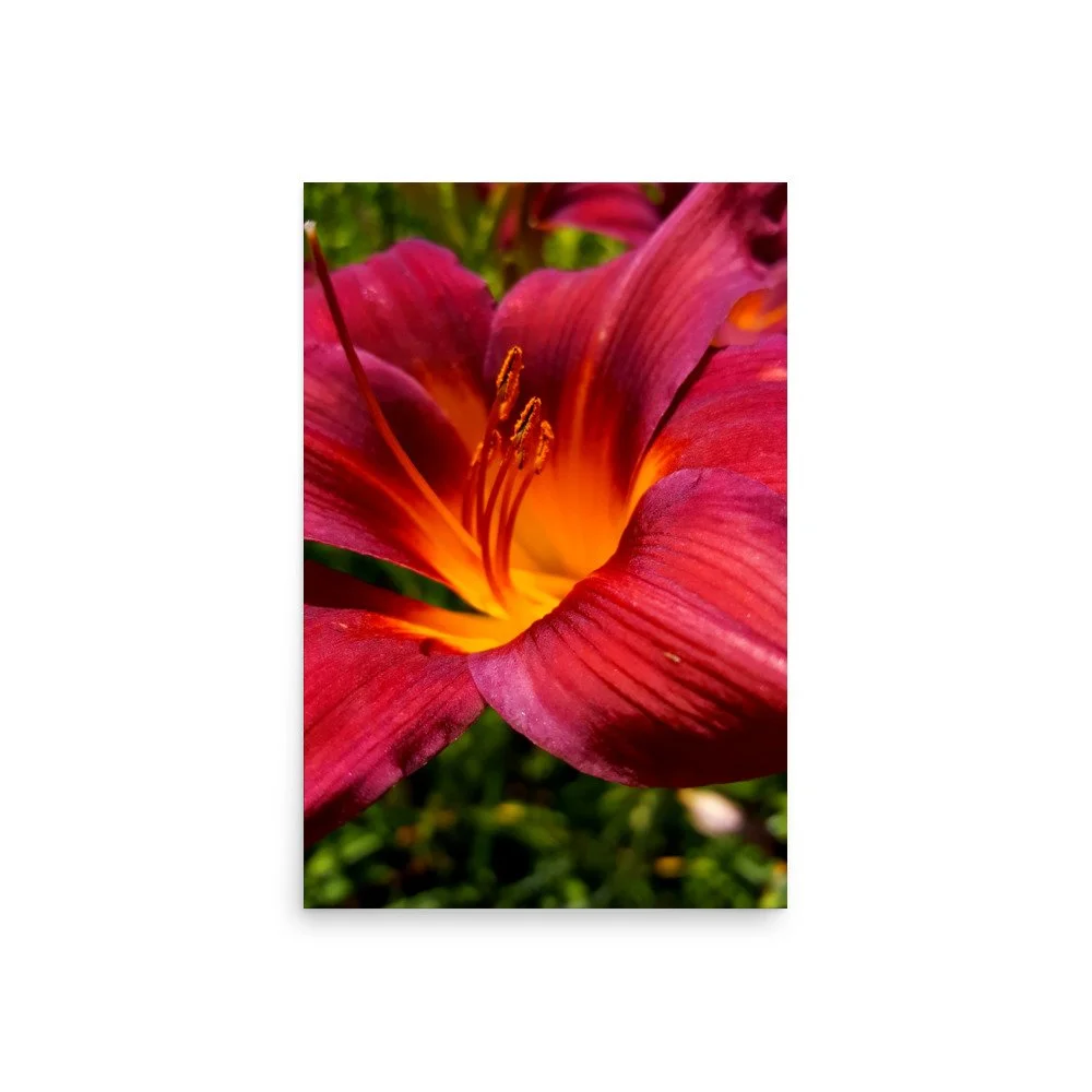 premium-luster-photo-paper-poster-(in)-20x30-front-69eb9df0d9811.jpg