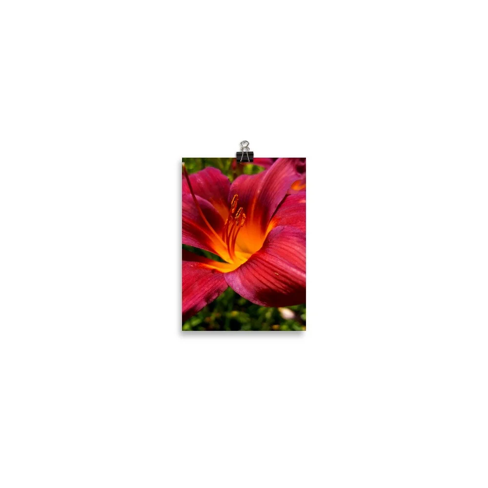 premium-luster-photo-paper-poster-(in)-5x7-transparent-69eb9df0d8930.jpg