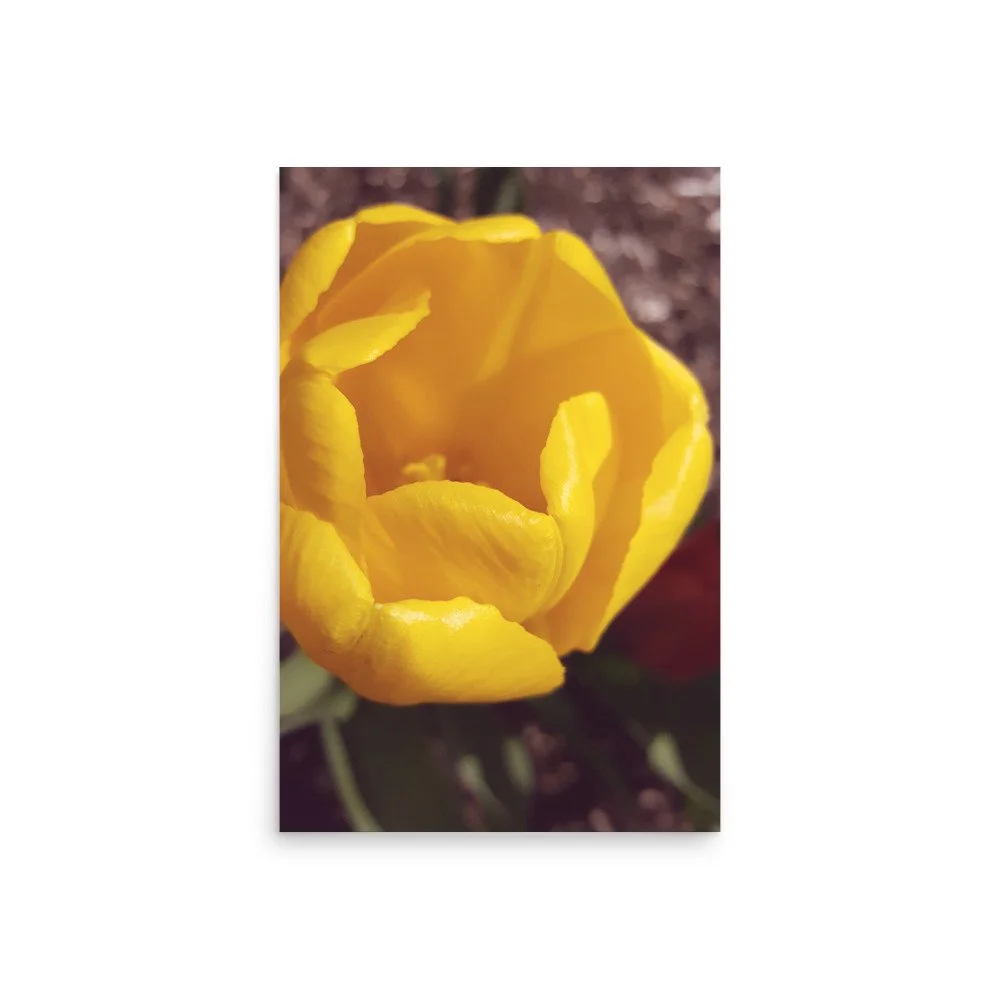 premium-luster-photo-paper-poster-(in)-20x30-front-69eb9f1ec7e4a.jpg