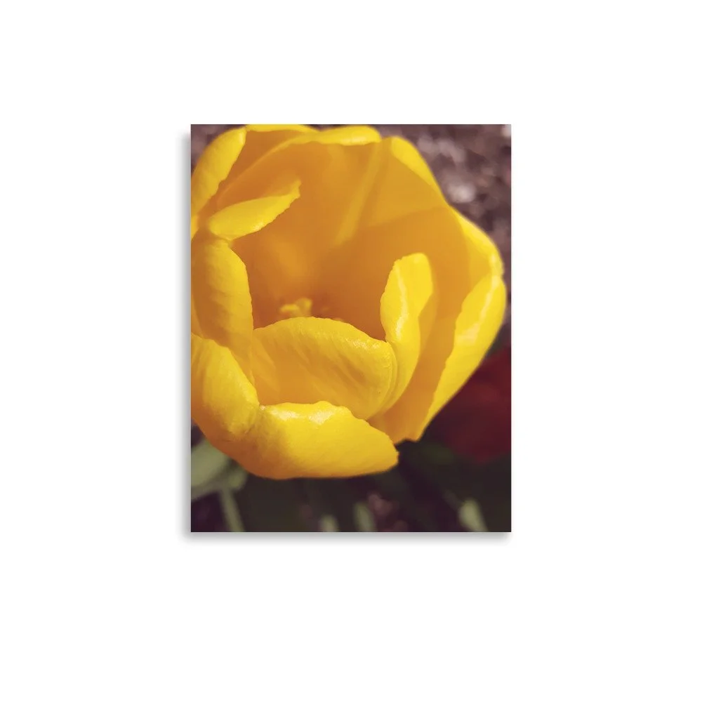premium-luster-photo-paper-poster-(in)-11x14-front-69eb9f1ec6750.jpg