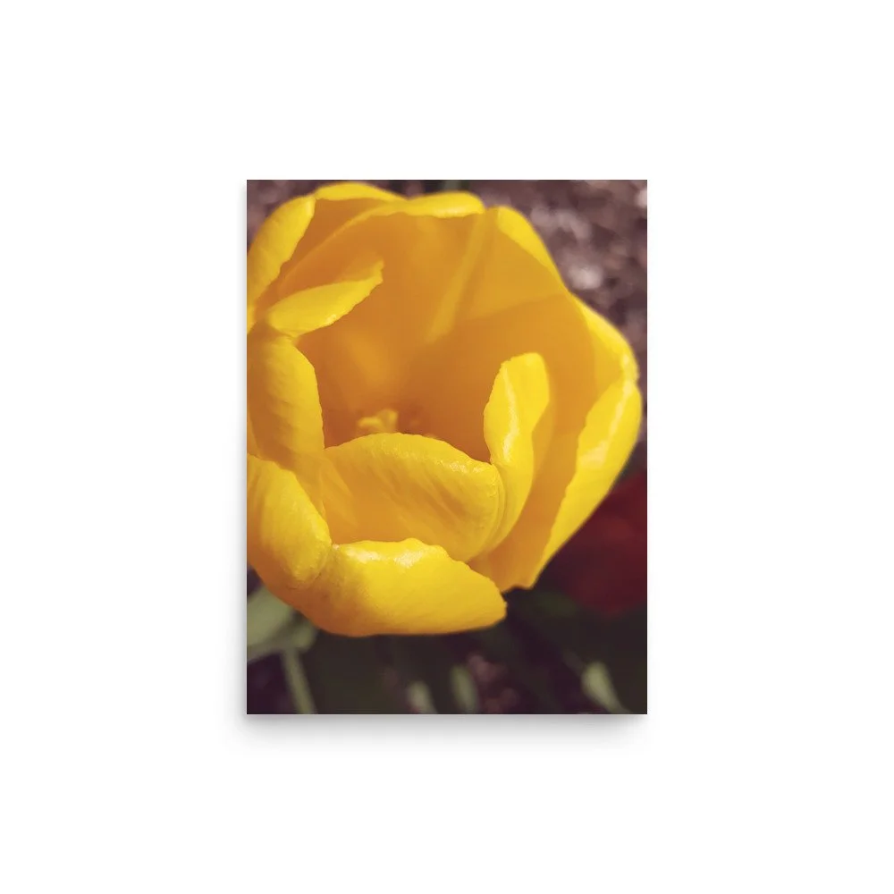 premium-luster-photo-paper-poster-(in)-12x16-front-69eb9f1ec0e8a.jpg