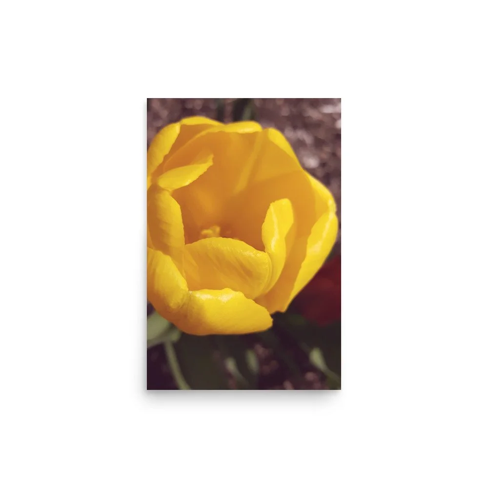 premium-luster-photo-paper-poster-(in)-12x18-front-69eb9f1ec1993.jpg