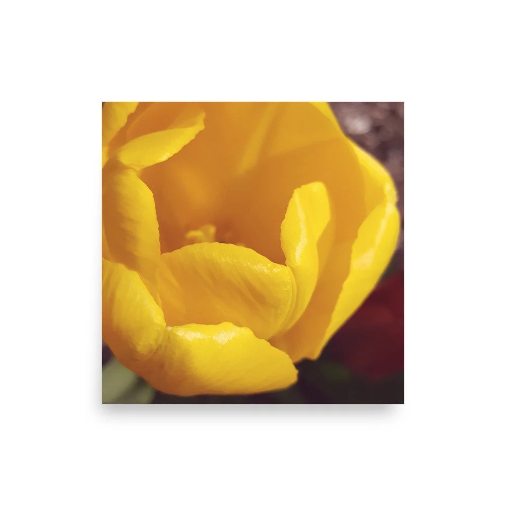premium-luster-photo-paper-poster-(in)-18x18-front-69eb9f1ec45d7.jpg