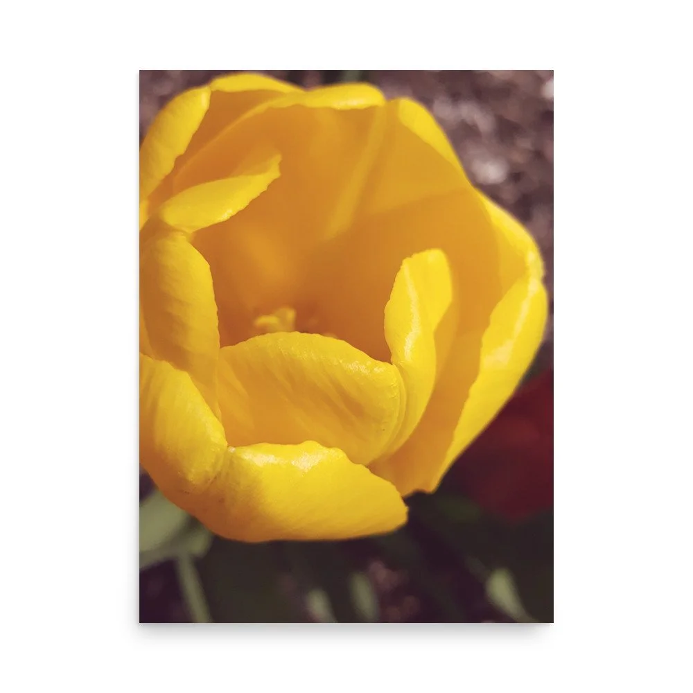 premium-luster-photo-paper-poster-(in)-18x24-front-69eb9f1ec50fe.jpg