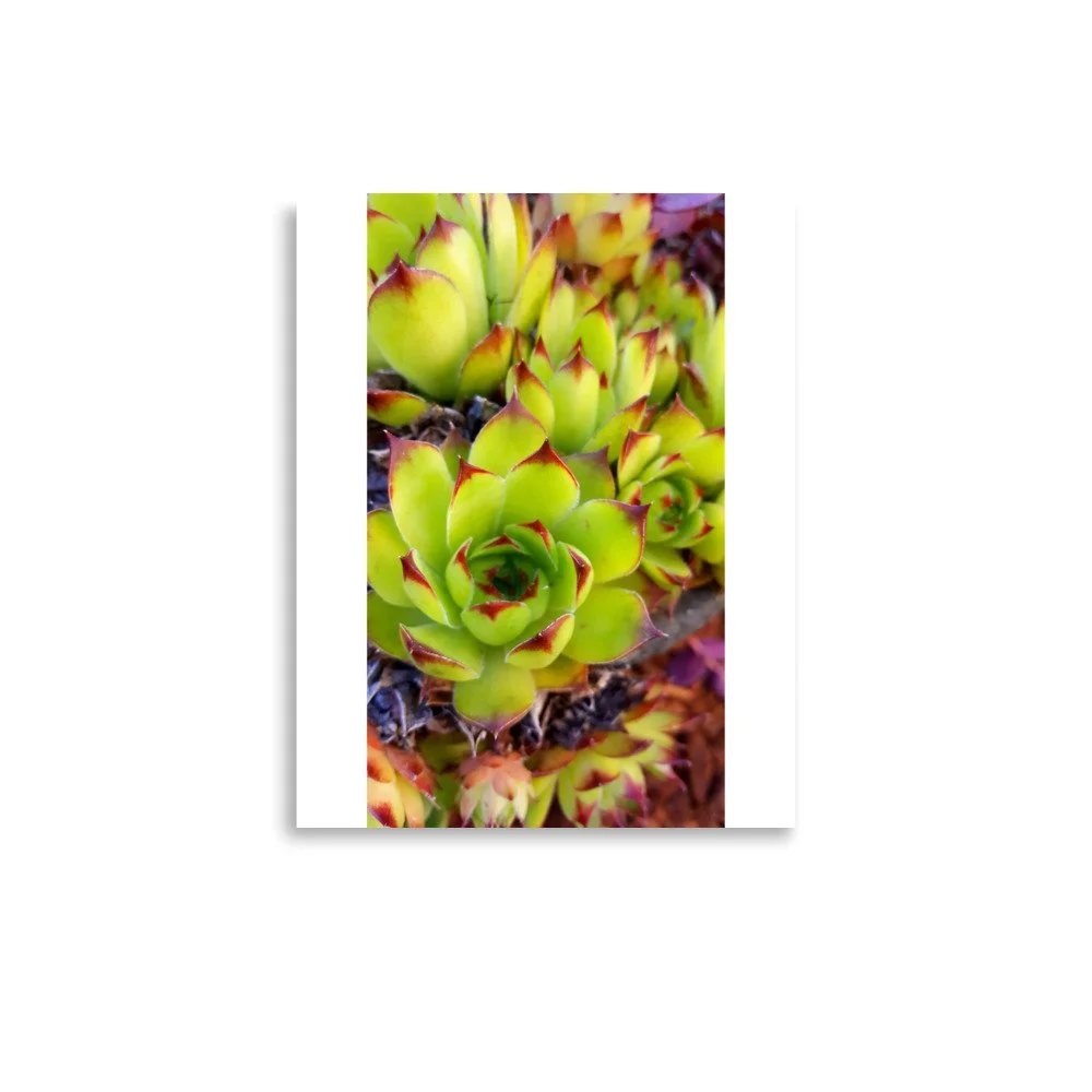 premium-luster-photo-paper-poster-(in)-11x14-front-69eba7d8e1382.jpg