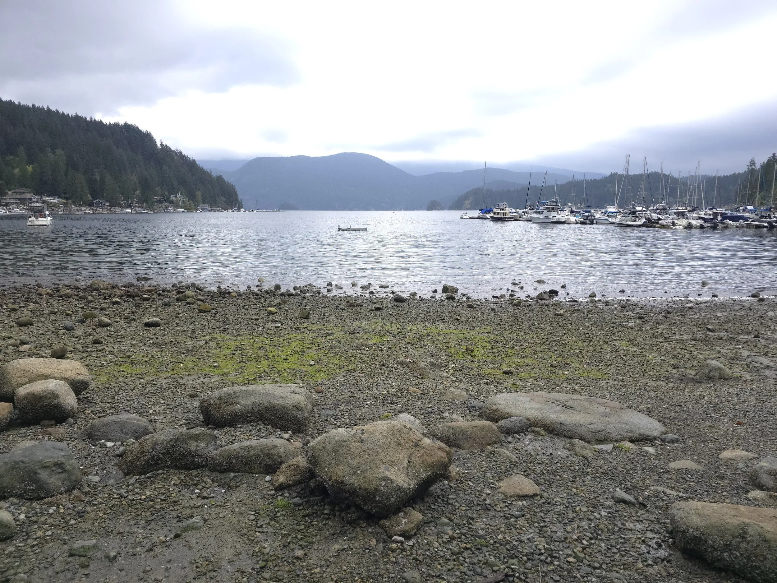 20260427_101158.jpg