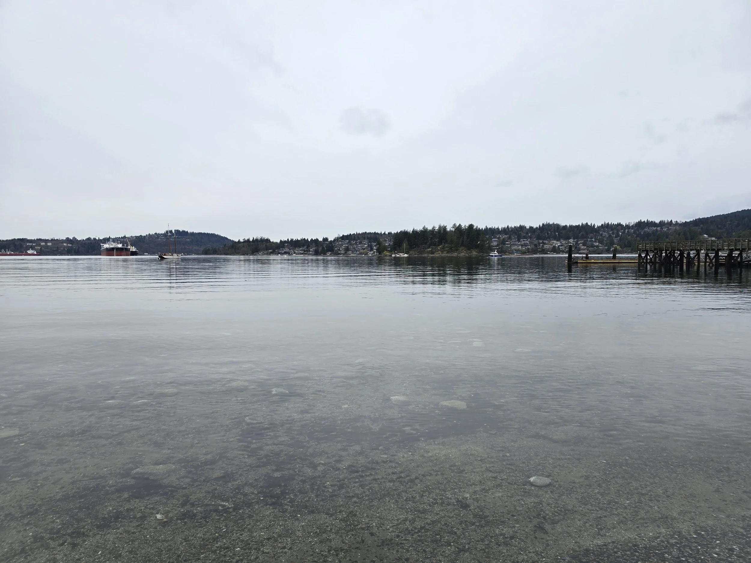 20260329_094026.jpg