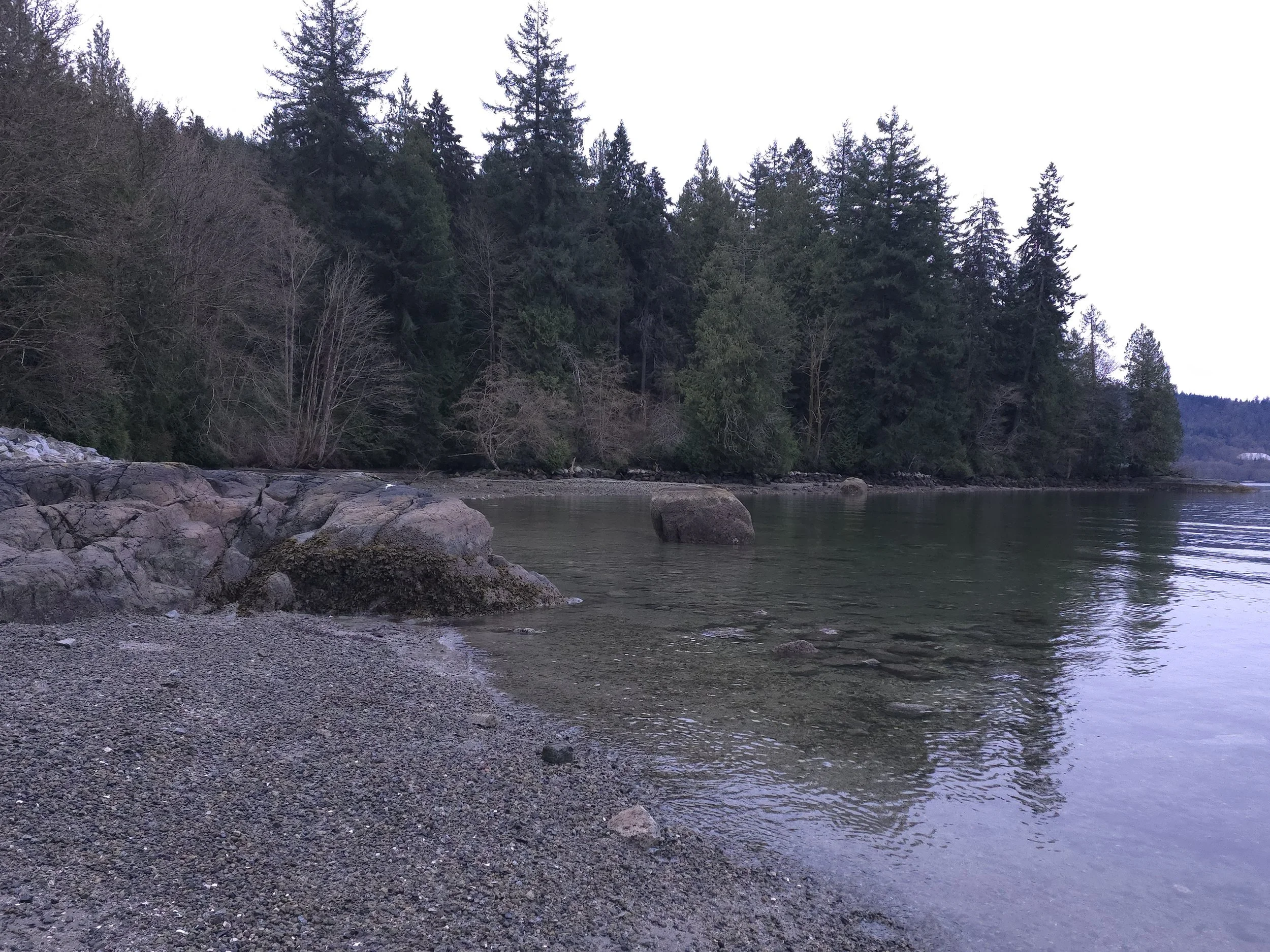 20260329_094203.jpg