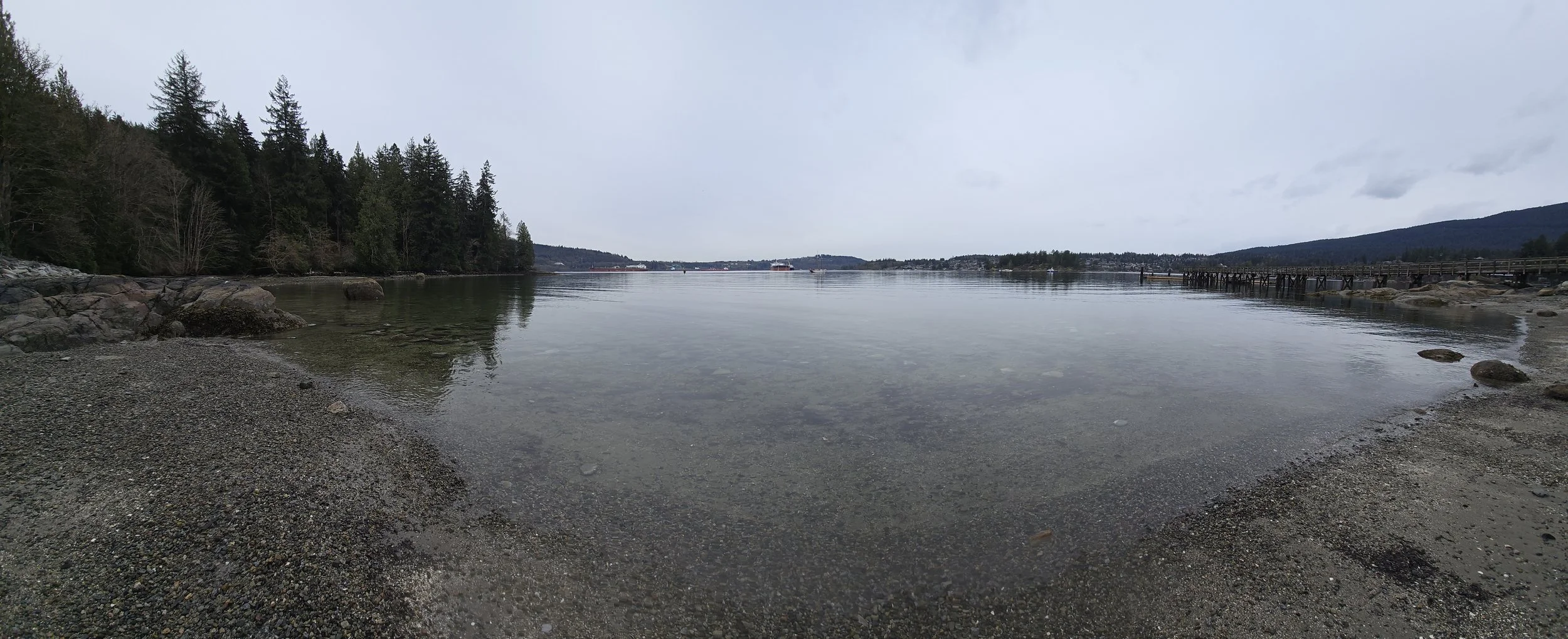 20260329_094036.jpg