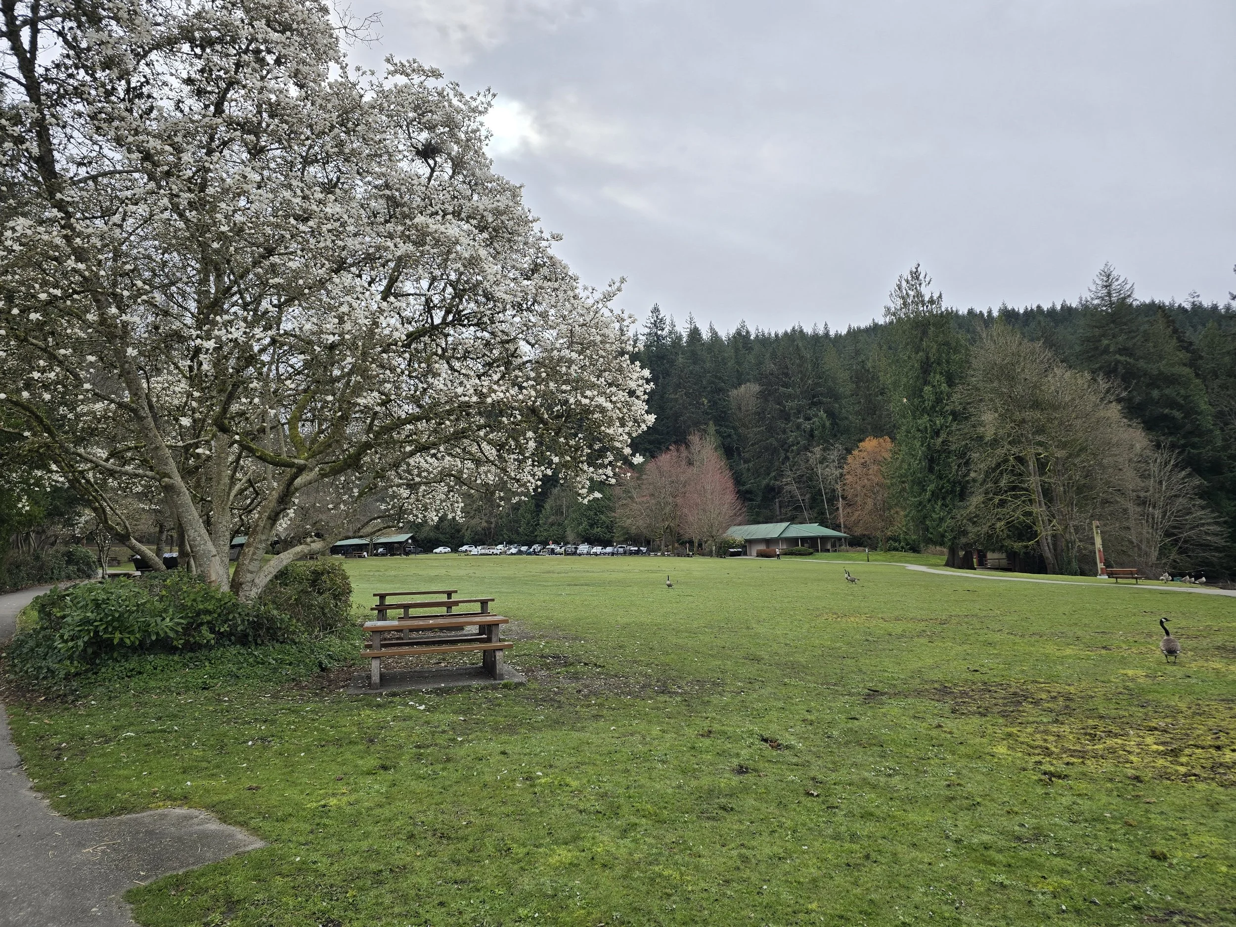 20260329_101111.jpg
