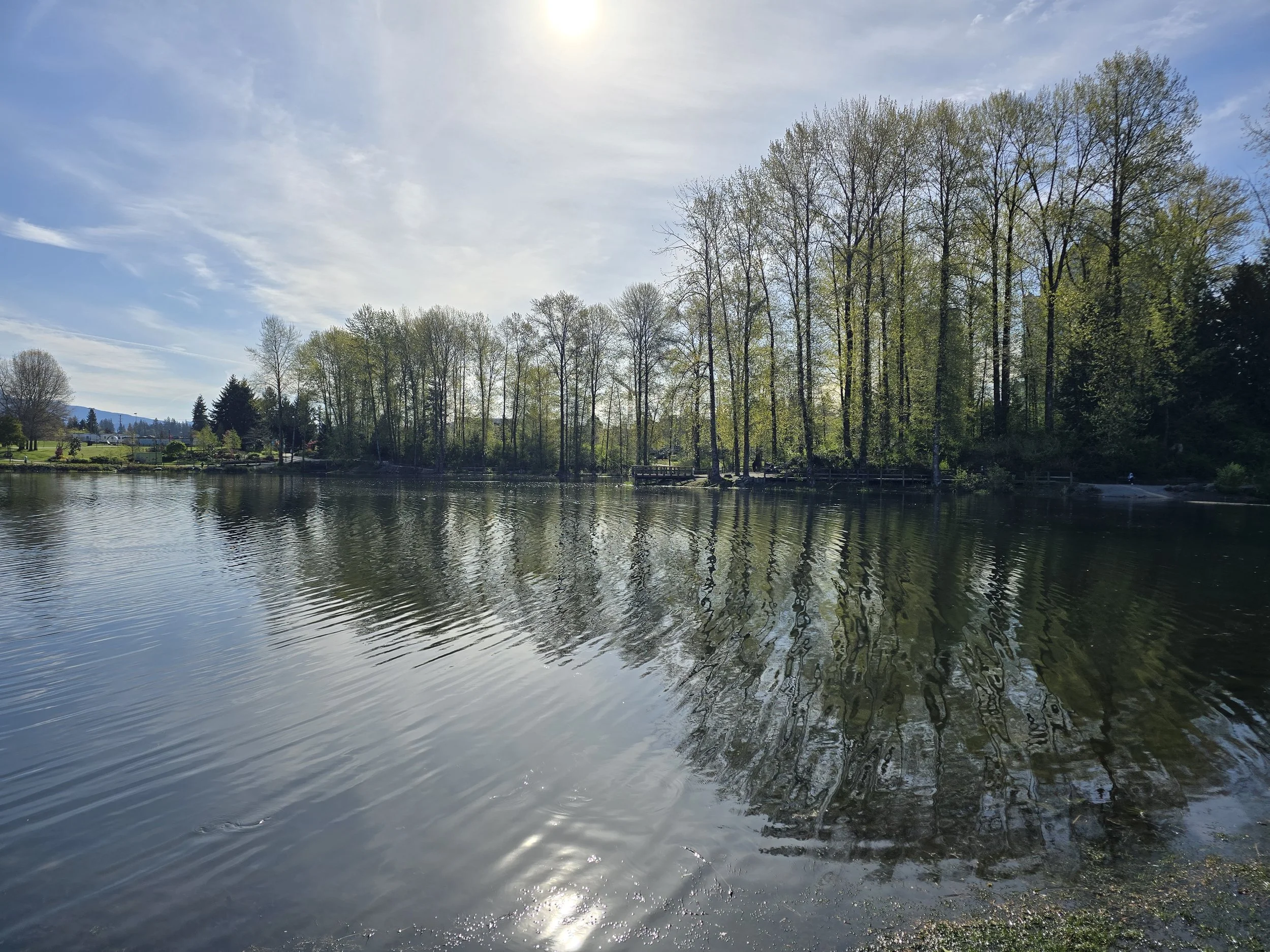 Morning Sun at Lafarge Park