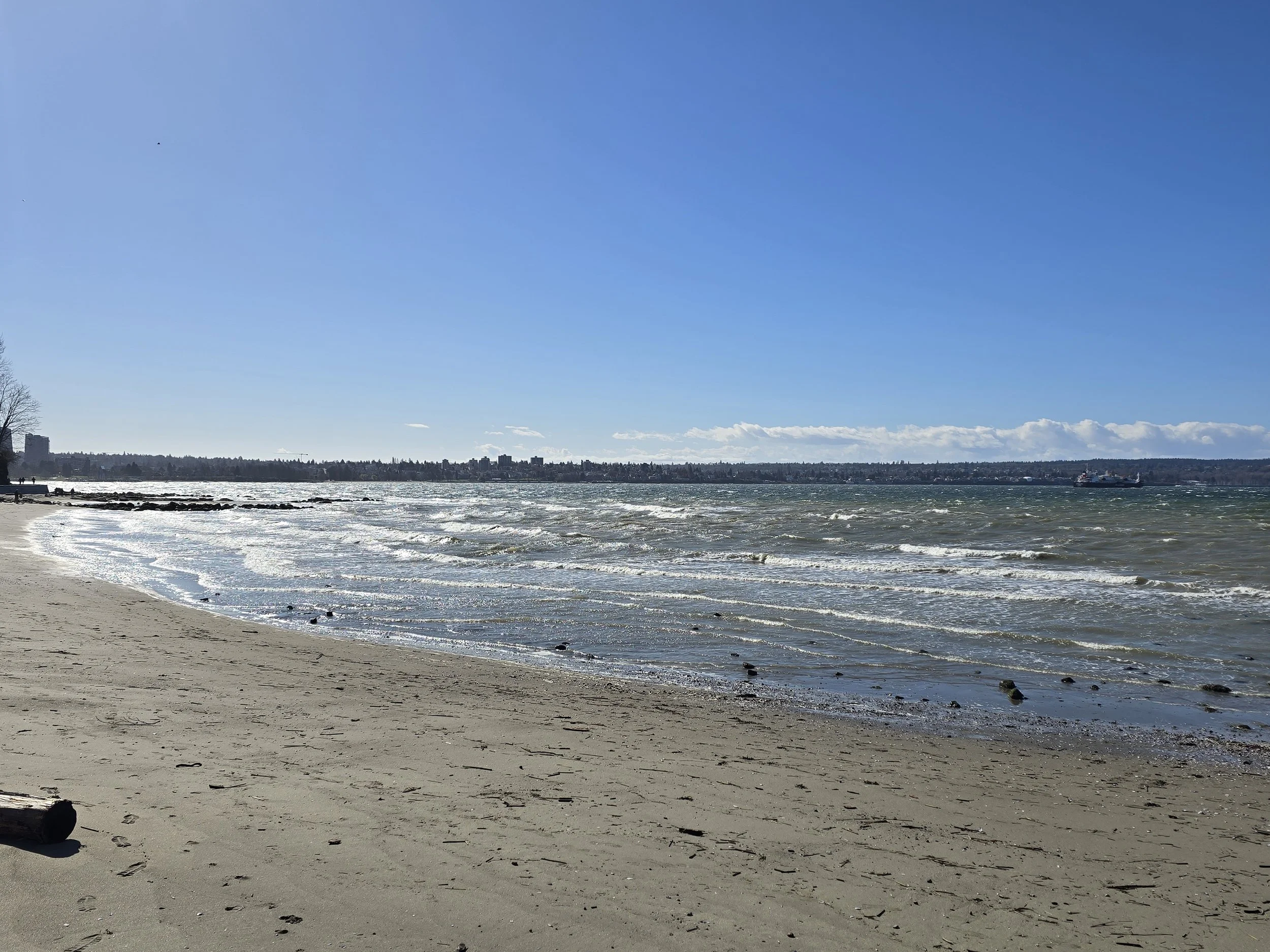 20260308_123103.jpg