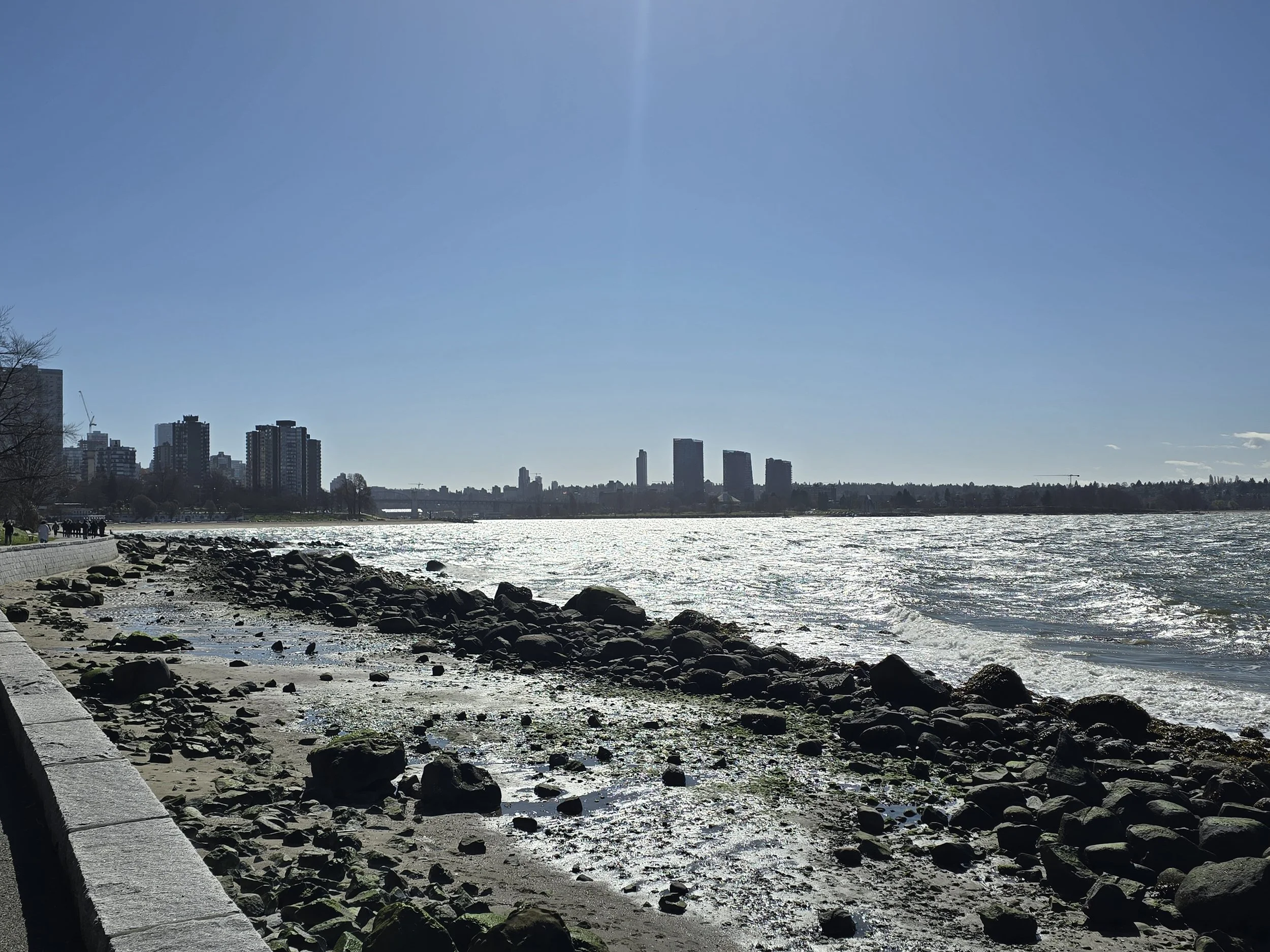 20260308_124312.jpg