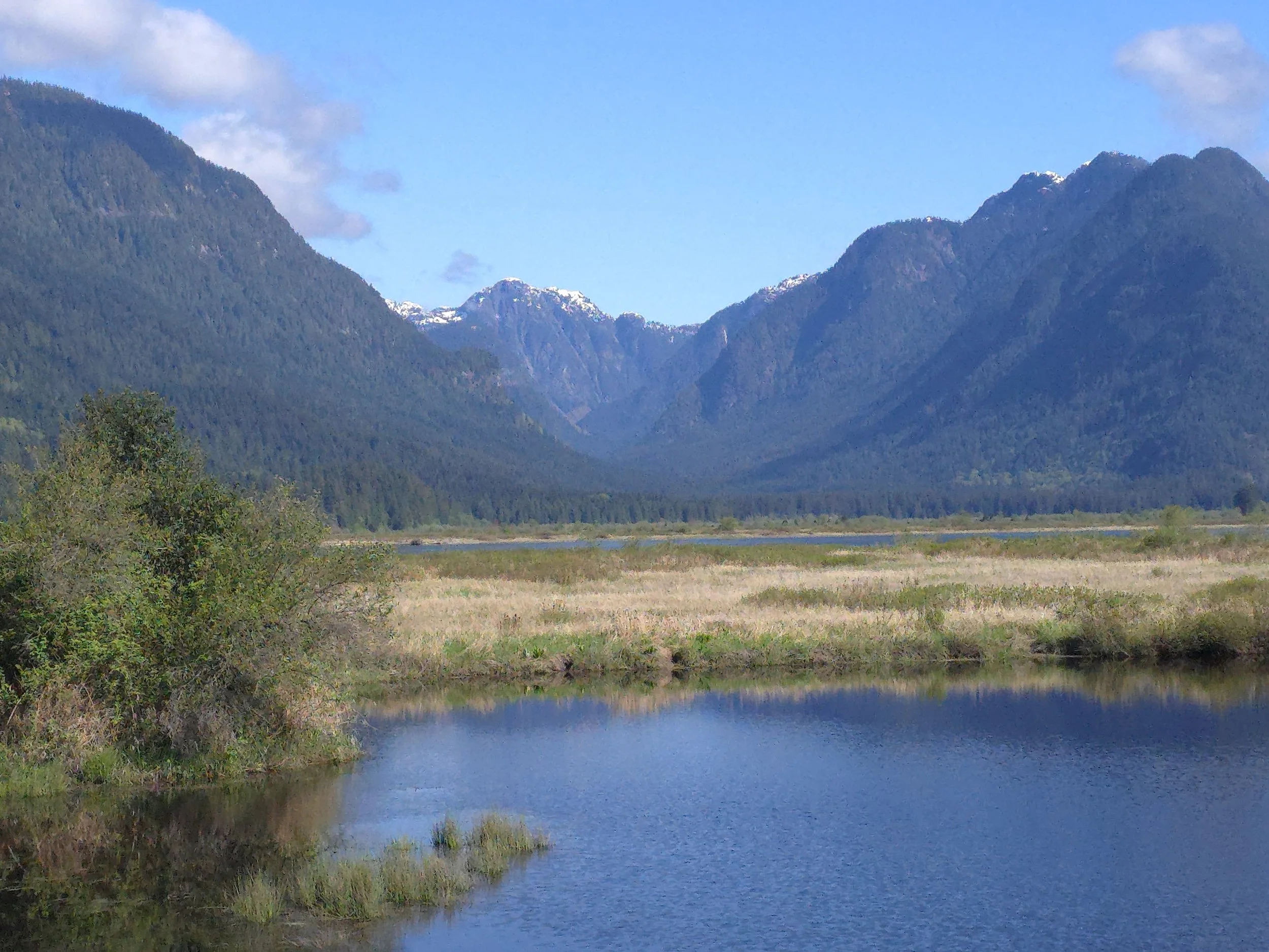View of Mount Osprey