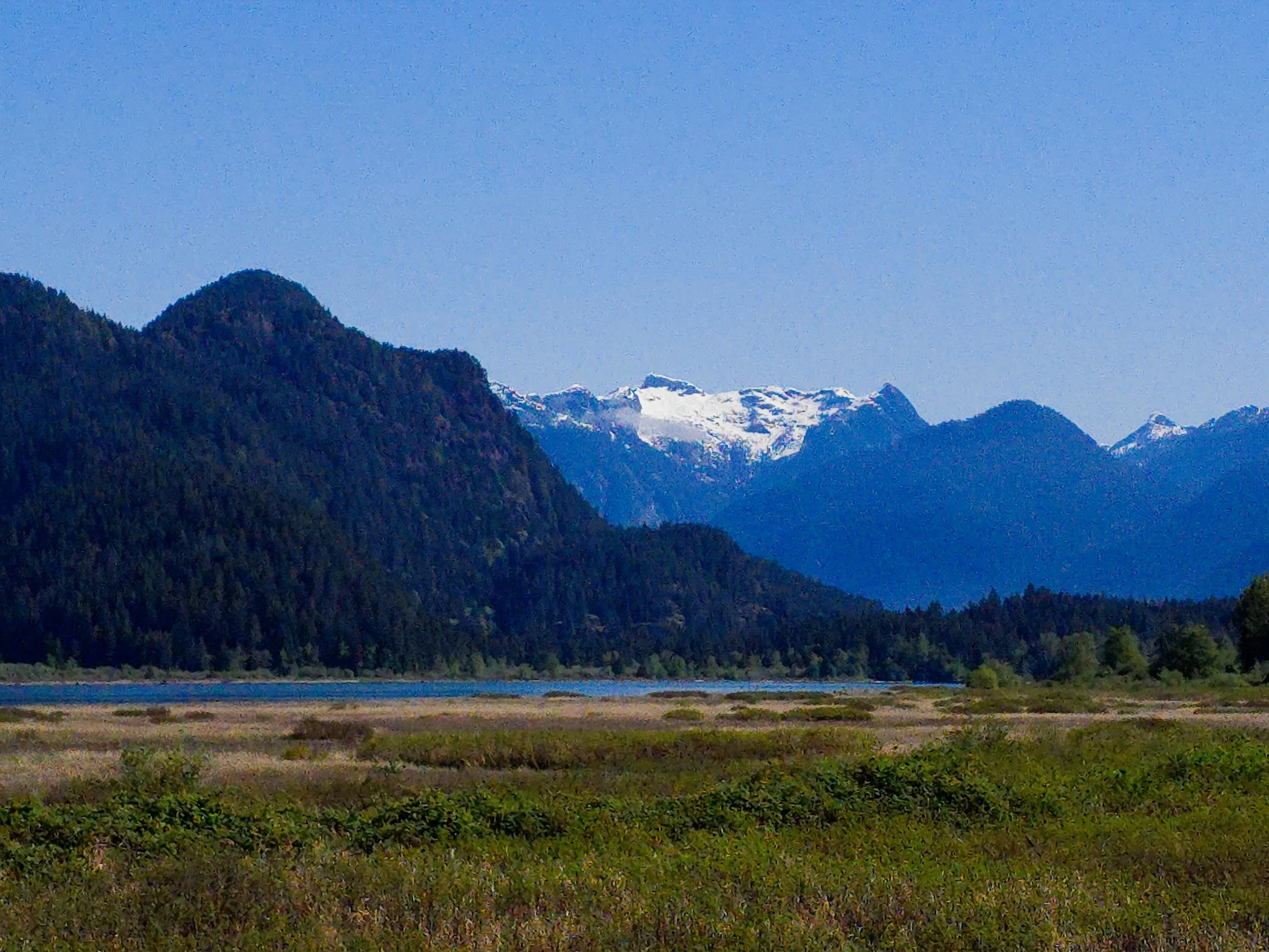 20260429_101854.jpg