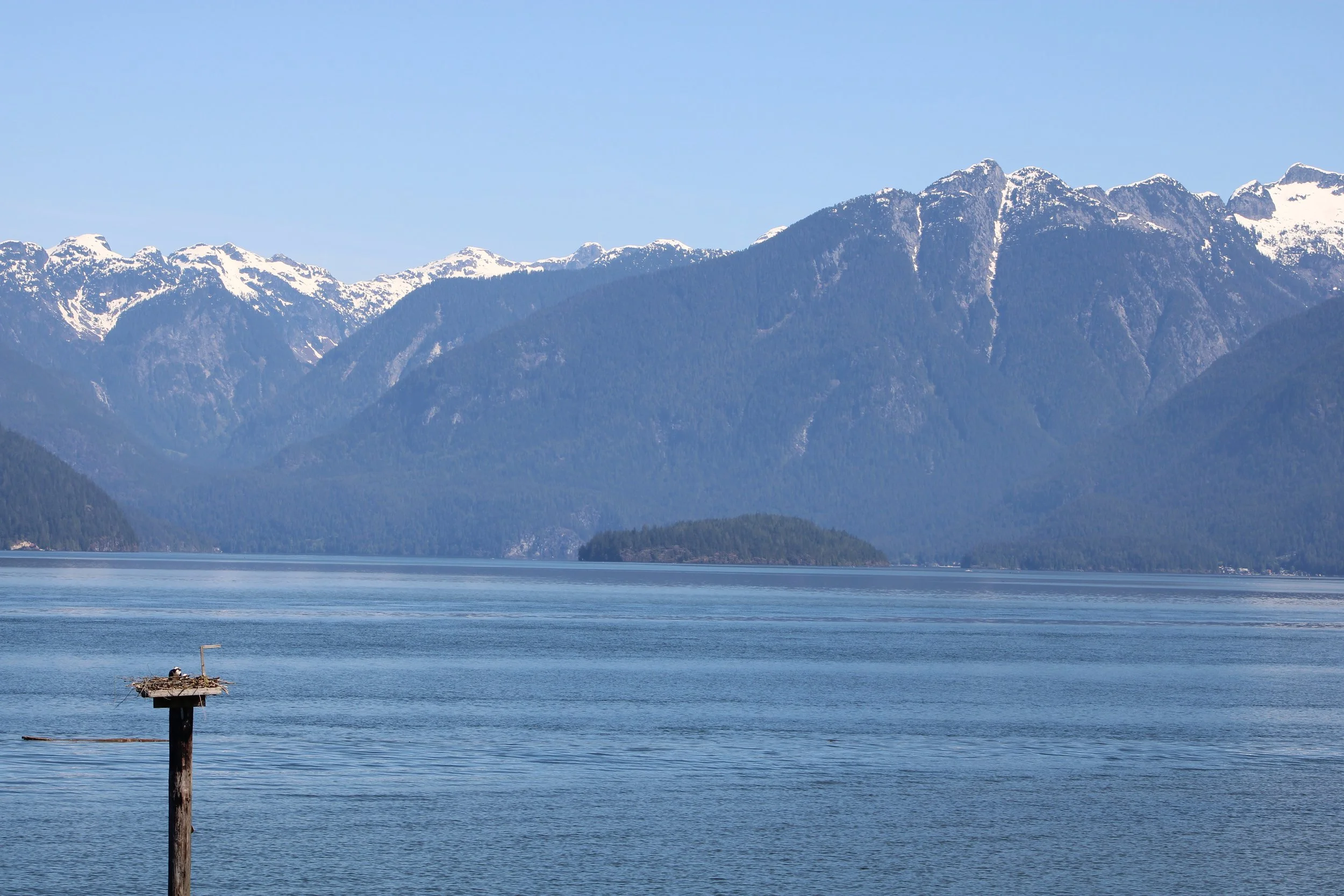 IMG_1281.JPG