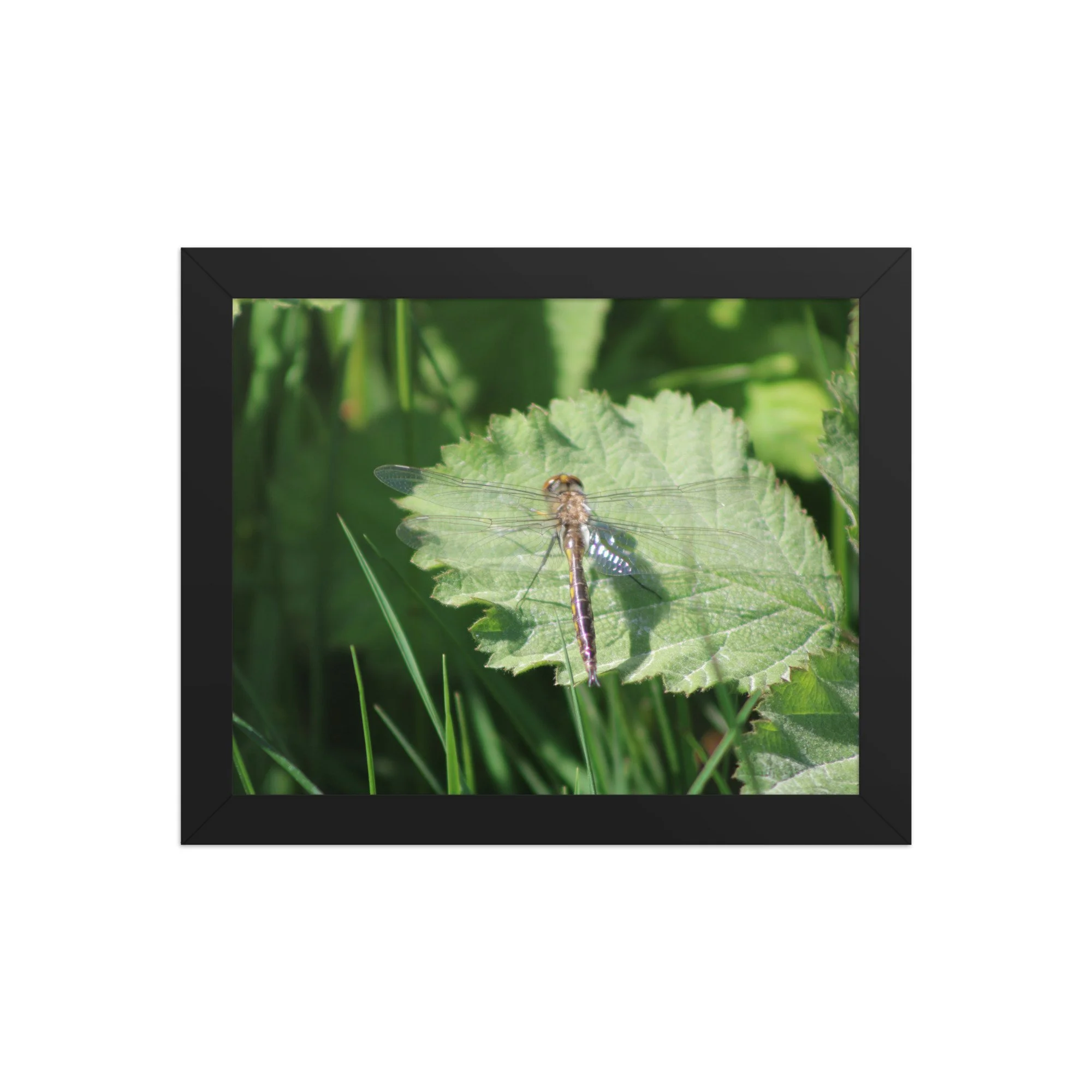 premium-luster-photo-paper-framed-poster-(in)-black-8x10-front-69fa761f52c02.jpg