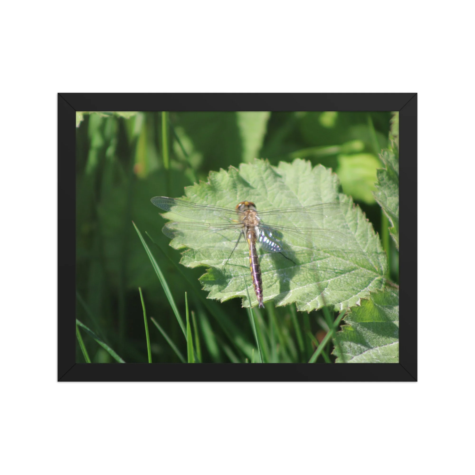 premium-luster-photo-paper-framed-poster-(in)-black-11x14-front-69fa761f54f75.jpg
