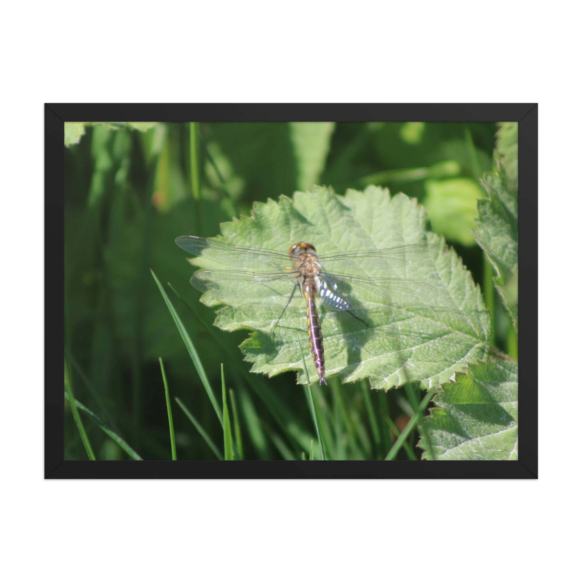 premium-luster-photo-paper-framed-poster-(in)-black-18x24-front-69fa761f541f9.jpg