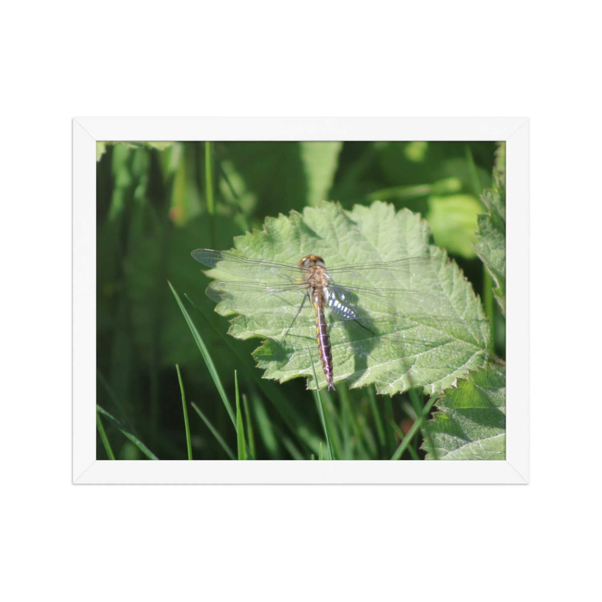 premium-luster-photo-paper-framed-poster-(in)-white-11x14-front-69fa761f55051.jpg