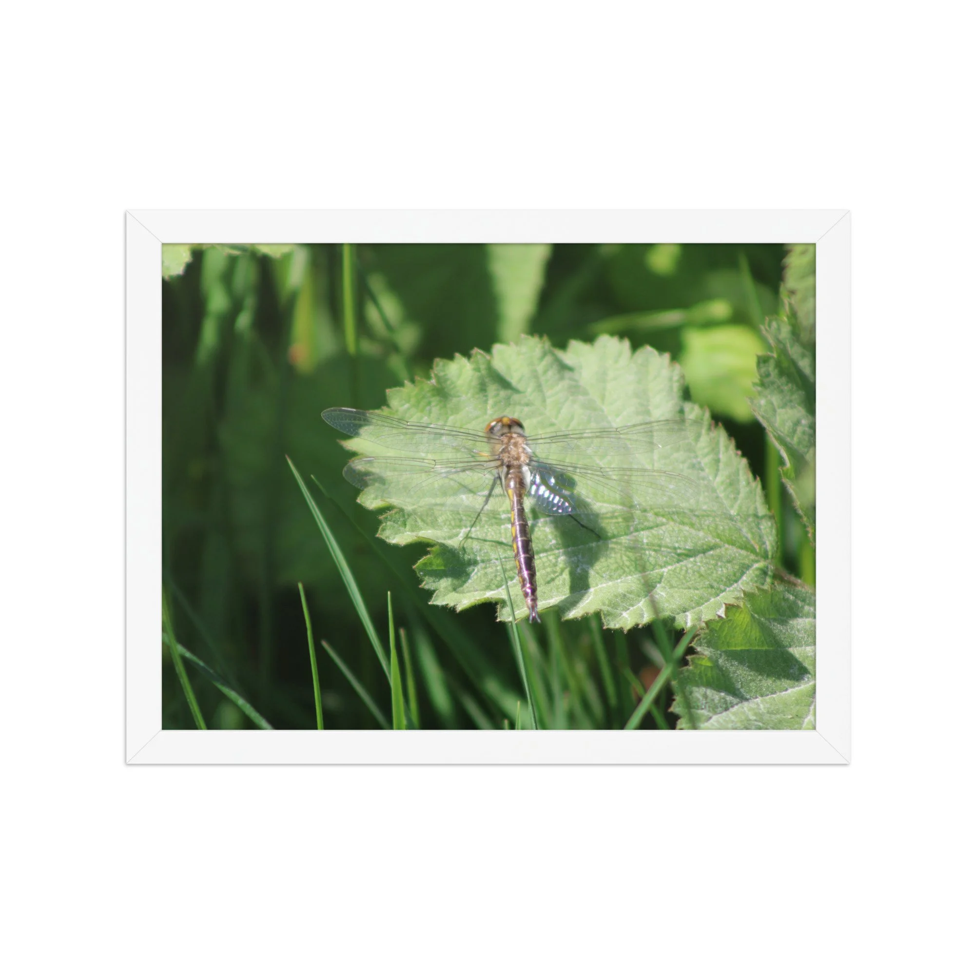 premium-luster-photo-paper-framed-poster-(in)-white-12x16-front-69fa761f531c7.jpg