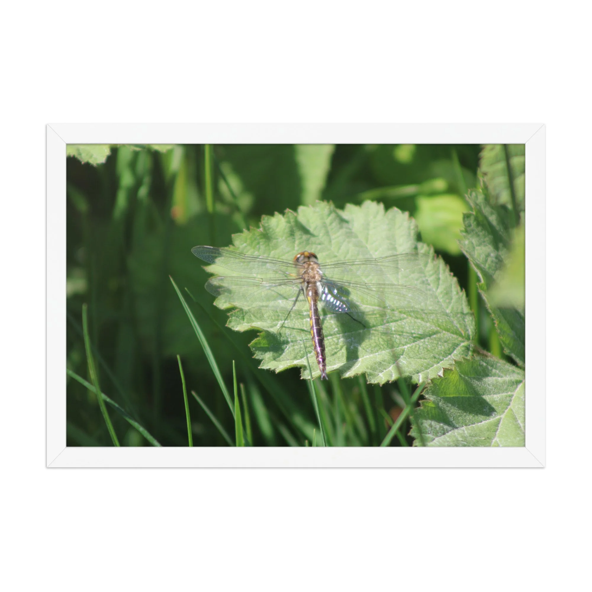 premium-luster-photo-paper-framed-poster-(in)-white-12x18-front-69fa761f536d6.jpg