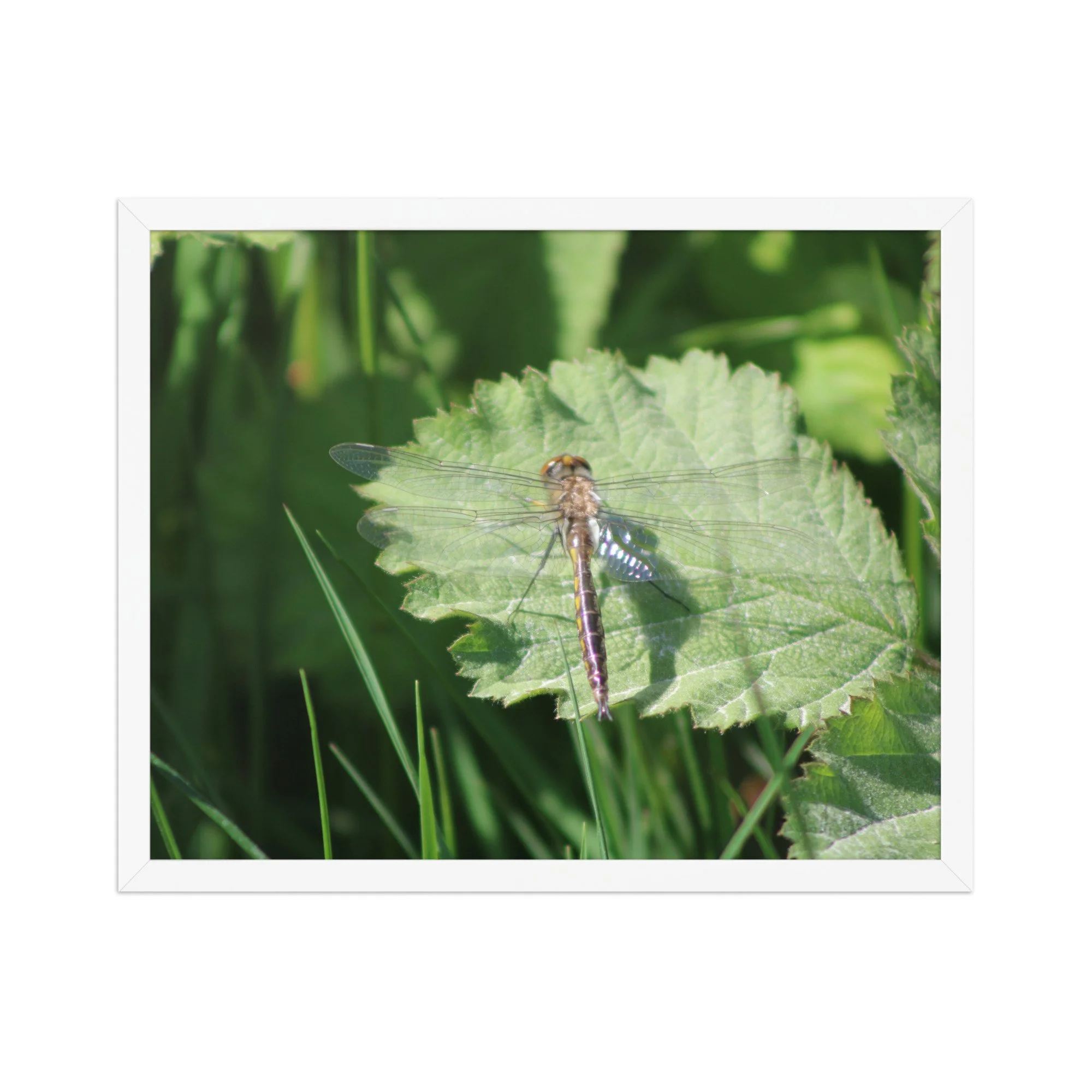 premium-luster-photo-paper-framed-poster-(in)-white-16x20-front-69fa761f53c27.jpg