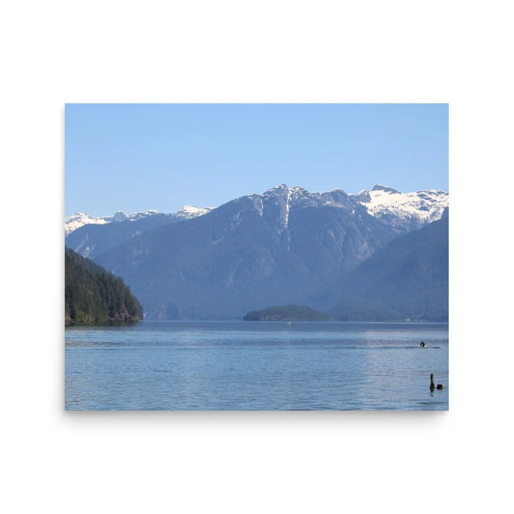 premium-luster-photo-paper-poster-(in)-16x20-front-69fa76795523c.jpg
