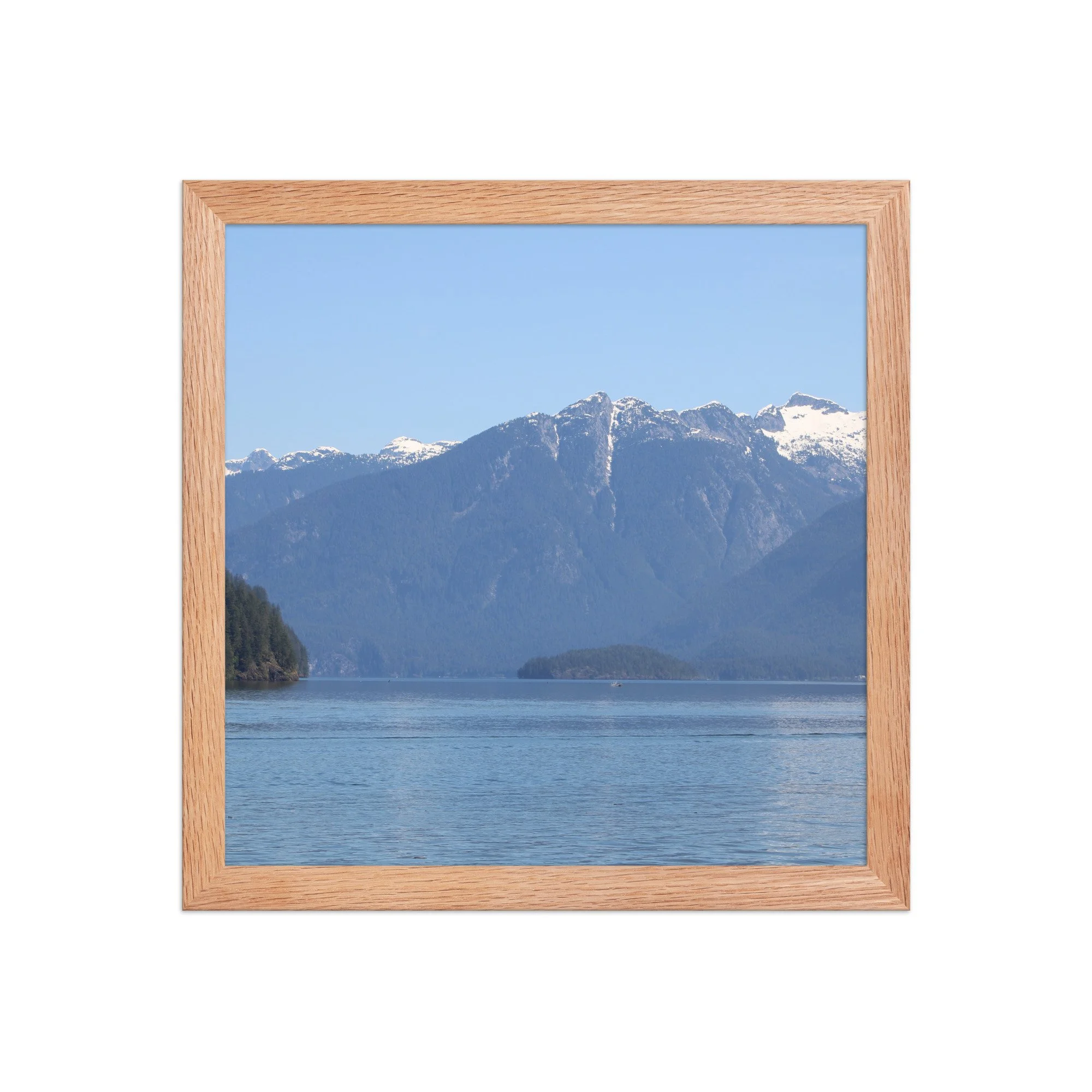 premium-luster-photo-paper-framed-poster-(in)-red-oak-12x12-front-69fa7713c7a7b.jpg