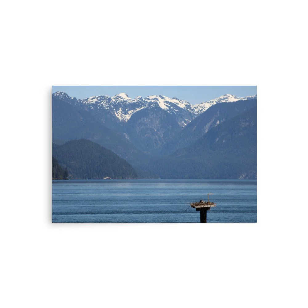 premium-luster-photo-paper-poster-(in)-20x30-front-69fa79073f4da.jpg