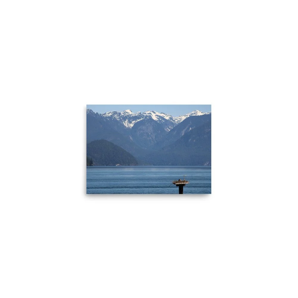premium-luster-photo-paper-poster-(in)-5x7-front-69fa79073eeda.jpg
