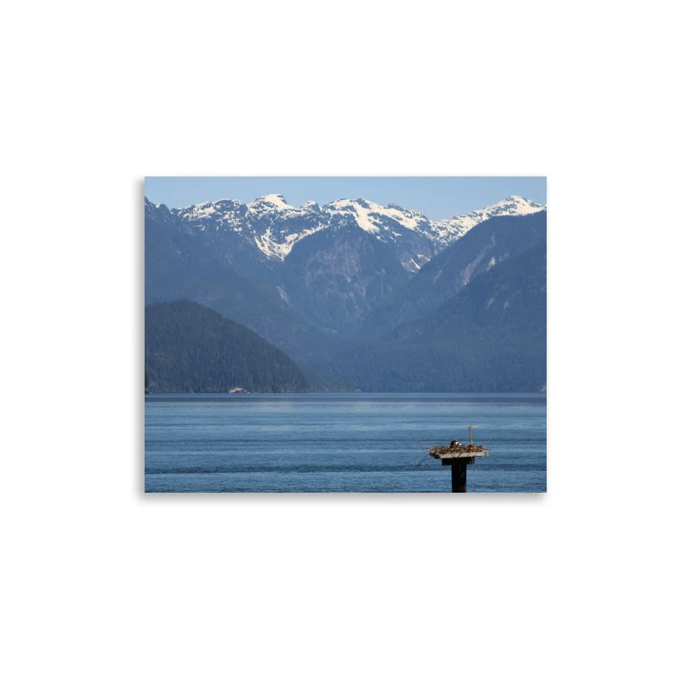 premium-luster-photo-paper-poster-(in)-11x14-front-69fa79073e8ac.jpg