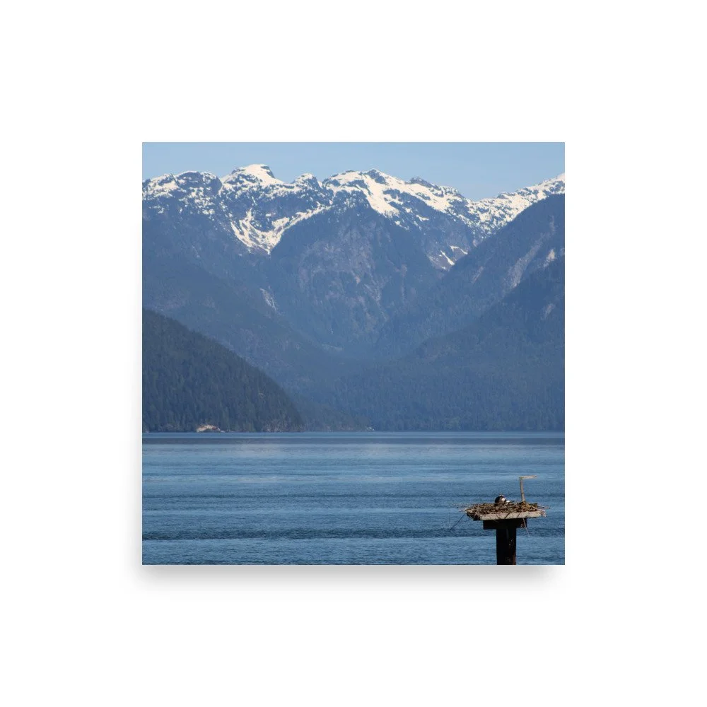 premium-luster-photo-paper-poster-(in)-12x12-front-69fa79073b539.jpg