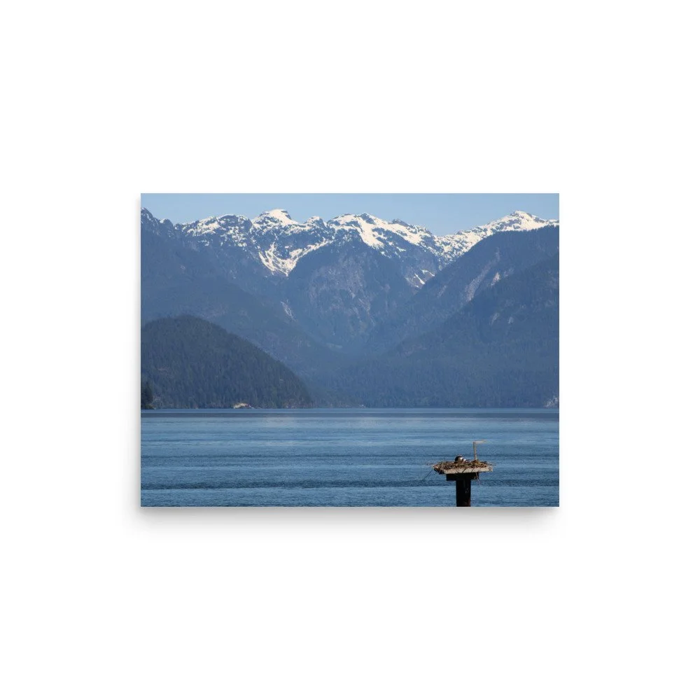 premium-luster-photo-paper-poster-(in)-12x16-front-69fa79073b9da.jpg