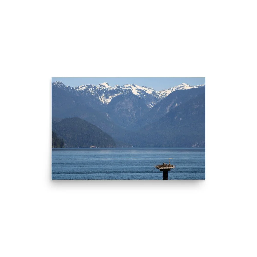 premium-luster-photo-paper-poster-(in)-12x18-front-69fa79073be9d.jpg