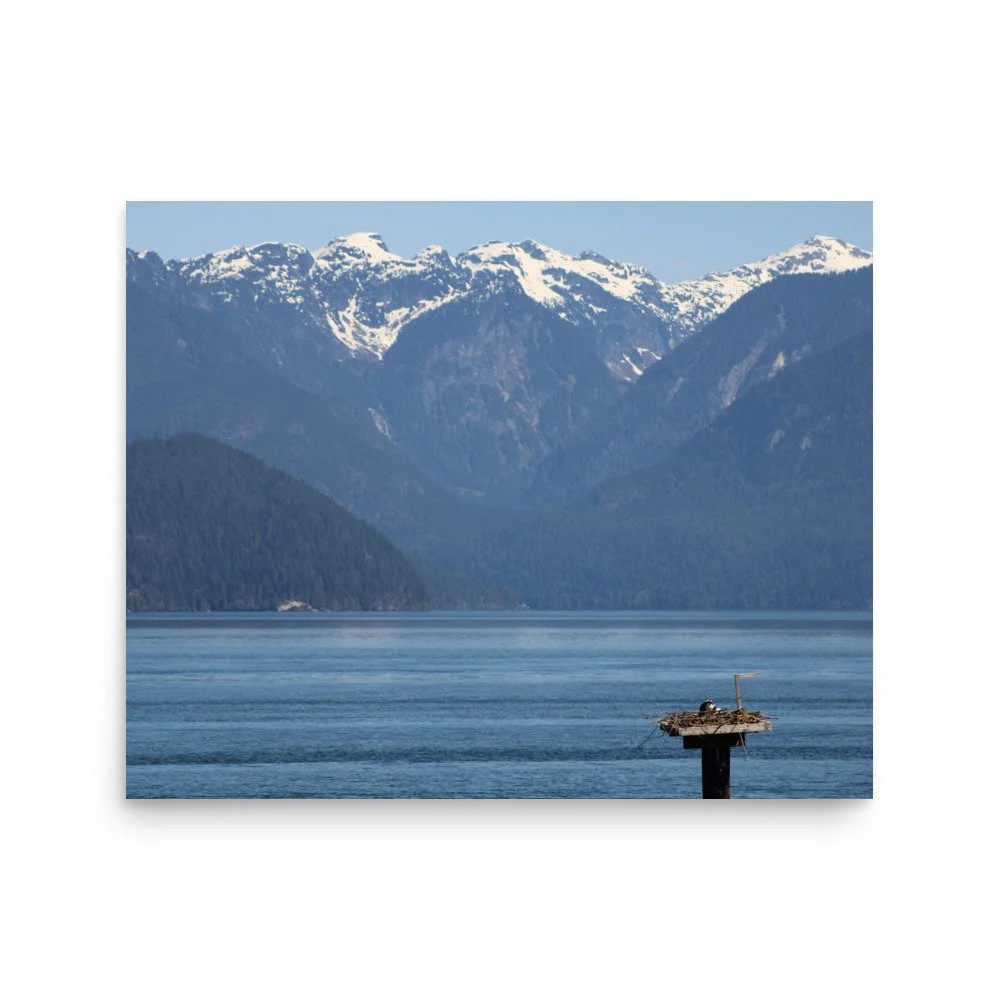 premium-luster-photo-paper-poster-(in)-16x20-front-69fa79073d0db.jpg