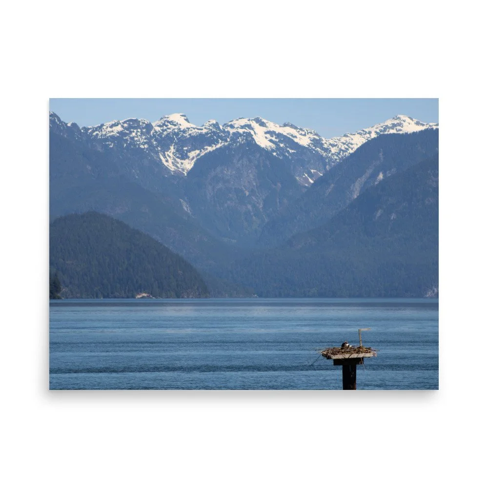 premium-luster-photo-paper-poster-(in)-18x24-front-69fa79073dccf.jpg