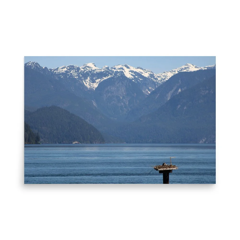 premium-luster-photo-paper-poster-(in)-24x36-front-69fa79073e292.jpg