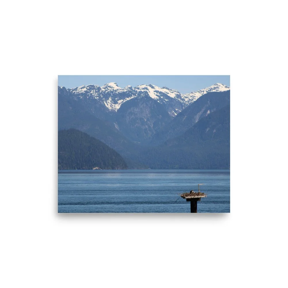 premium-luster-photo-paper-poster-(in)-8x10-front-69fa79073a68f.jpg