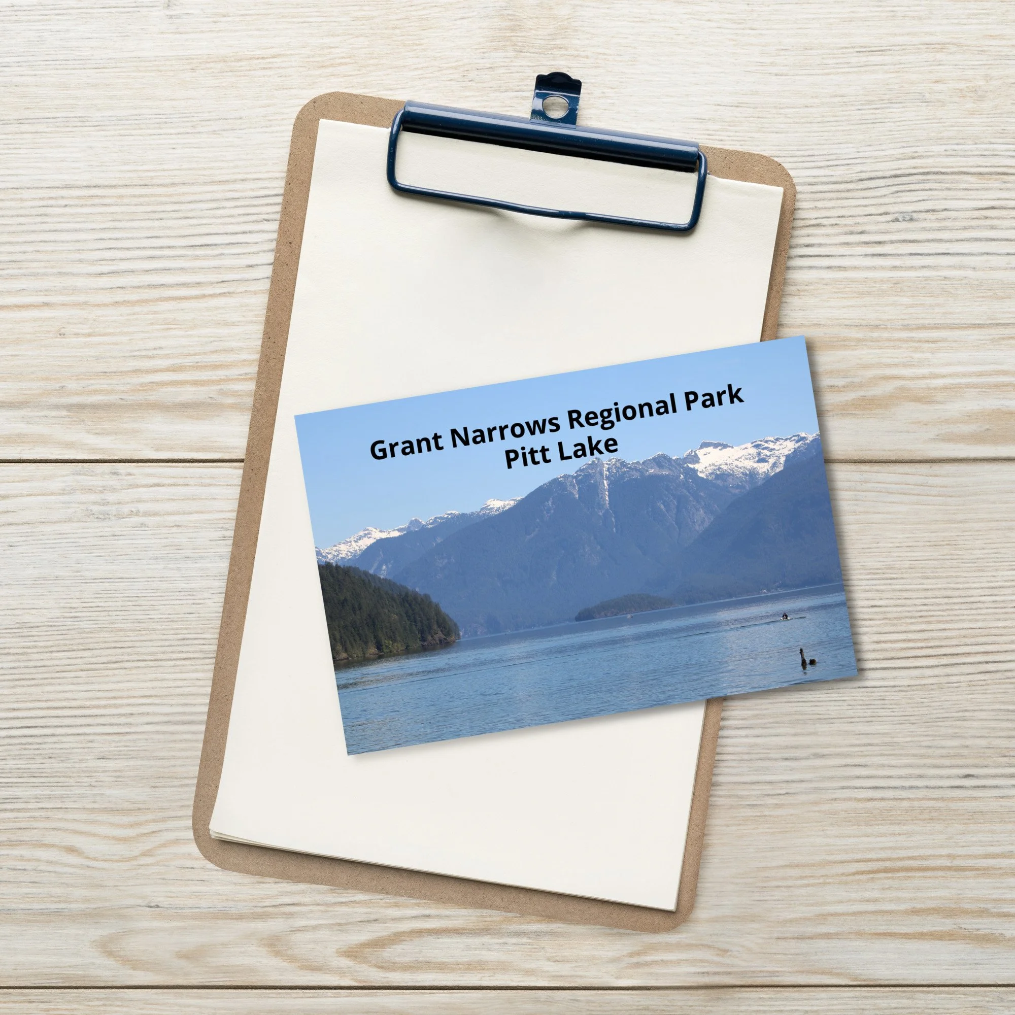 standard-postcard-4x6-front-69fa7b366d625.jpg