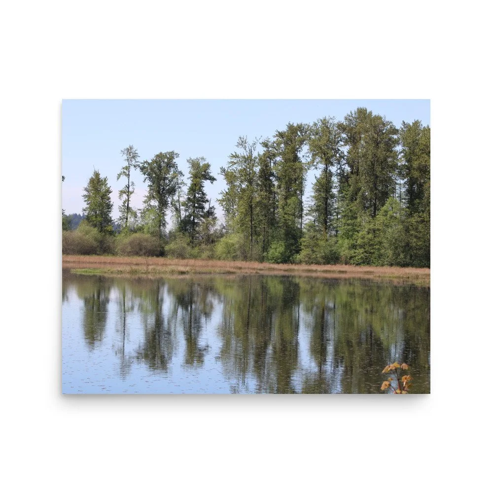 premium-luster-photo-paper-poster-(in)-16x20-front-69faa6325547a.jpg