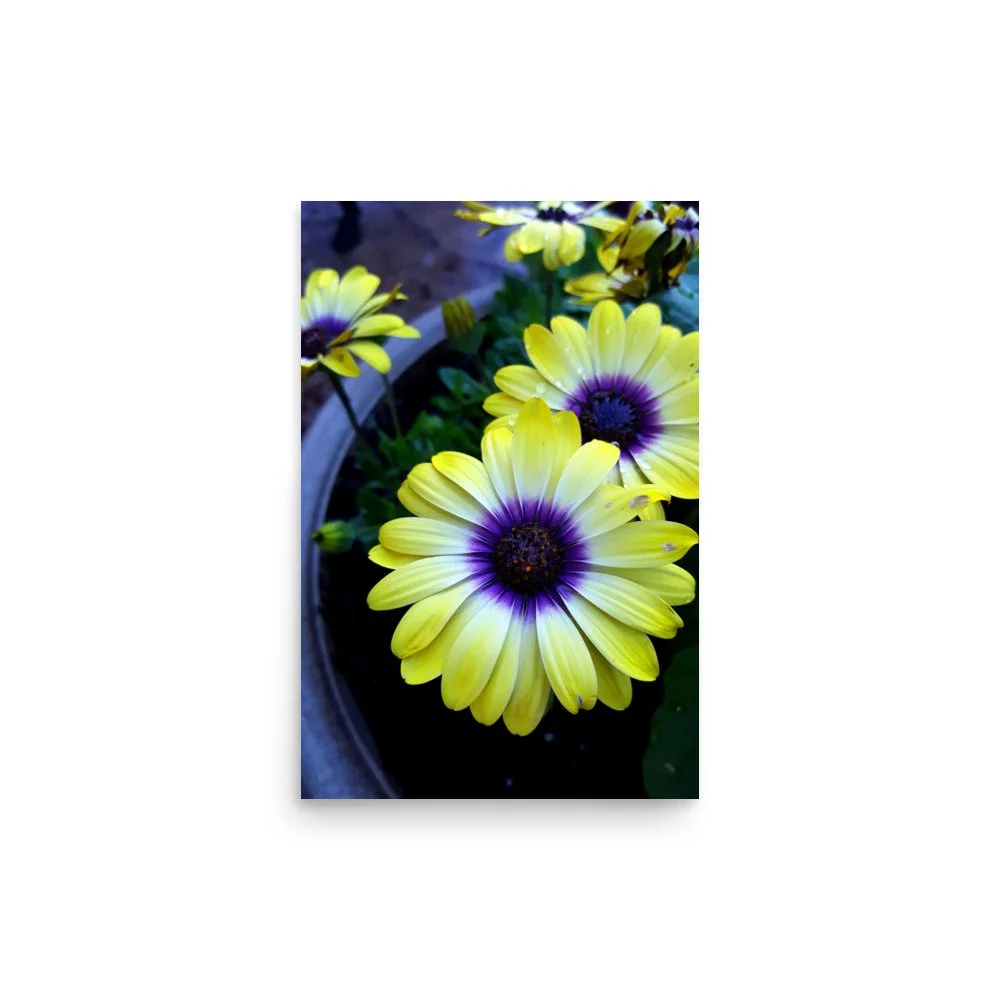 premium-luster-photo-paper-poster-(in)-12x18-front-6a0233fca2761.jpg