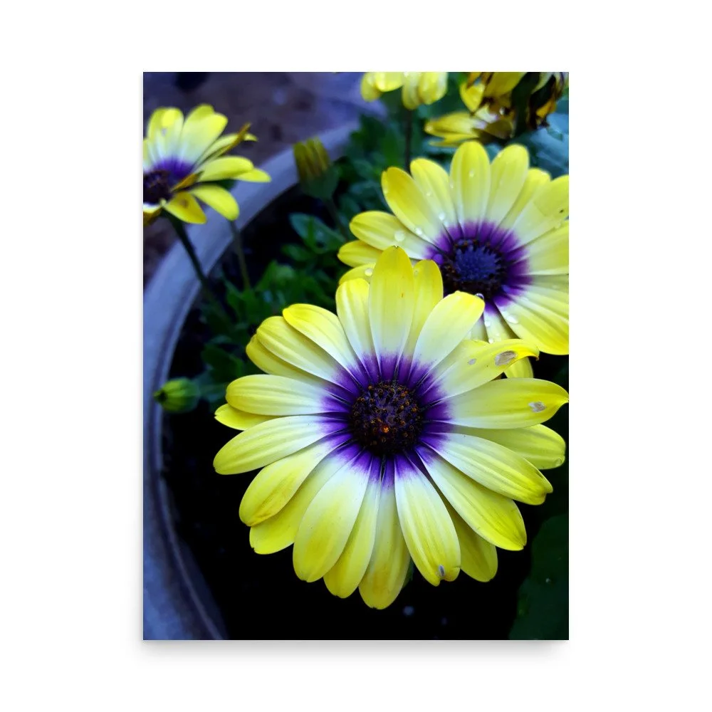 premium-luster-photo-paper-poster-(in)-18x24-front-6a0233fca4c7a.jpg