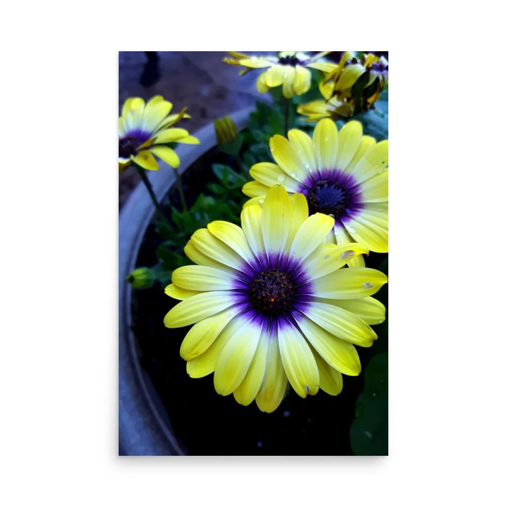 premium-luster-photo-paper-poster-(in)-24x36-front-6a0233fca5300.jpg