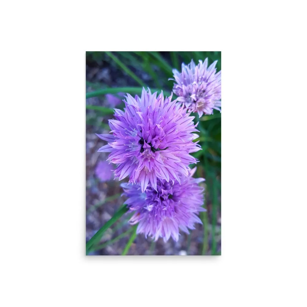 premium-luster-photo-paper-poster-(in)-20x30-front-6a023484dd7ec.jpg