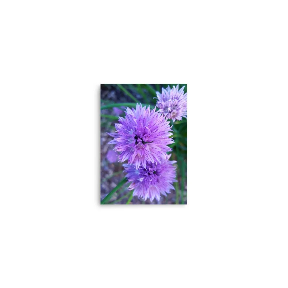 premium-luster-photo-paper-poster-(in)-5x7-front-6a023484dd12f.jpg
