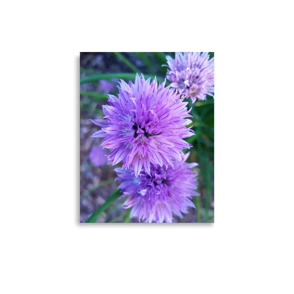premium-luster-photo-paper-poster-(in)-11x14-front-6a023484dca8d.jpg