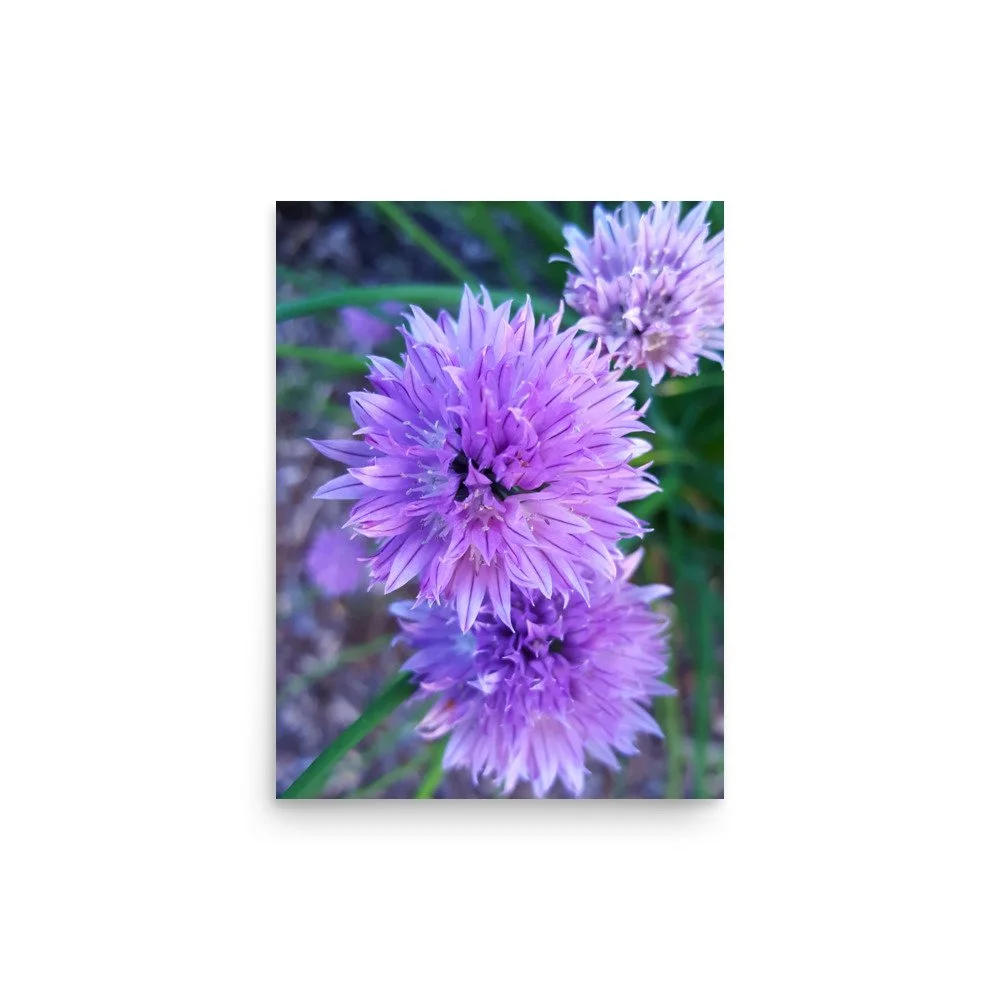 premium-luster-photo-paper-poster-(in)-12x16-front-6a023484da378.jpg