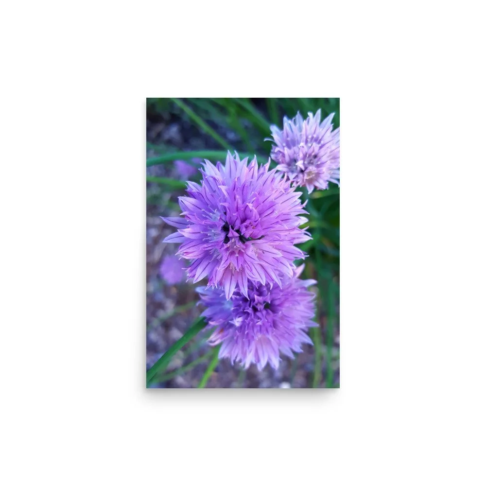 premium-luster-photo-paper-poster-(in)-12x18-front-6a023484da877.jpg