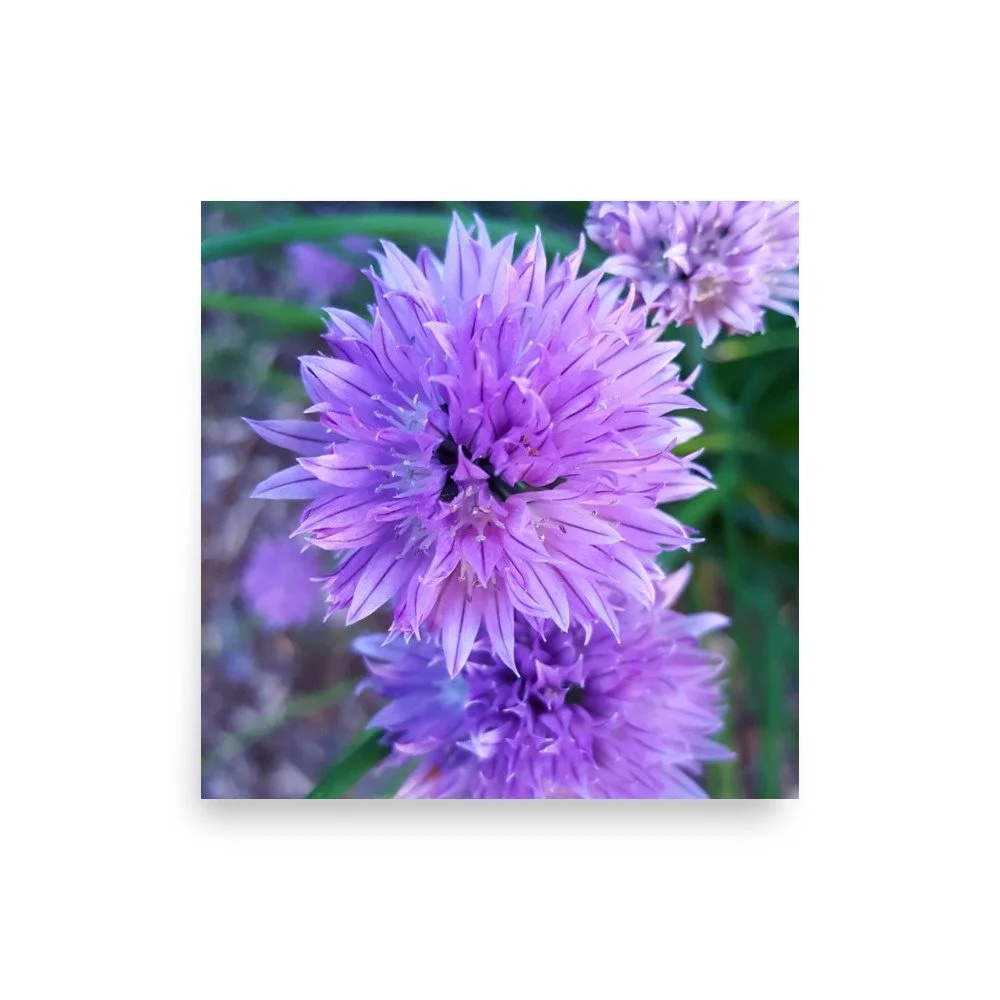 premium-luster-photo-paper-poster-(in)-14x14-front-6a023484dad8e.jpg